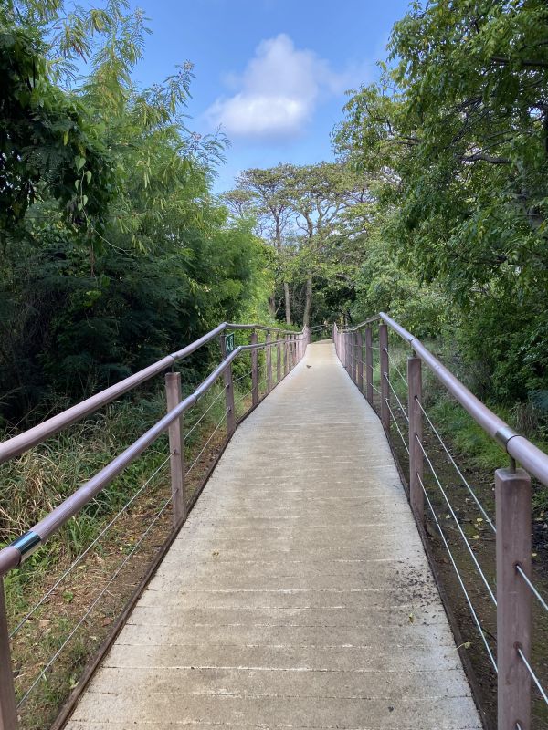 Outdoor Walkway Construction