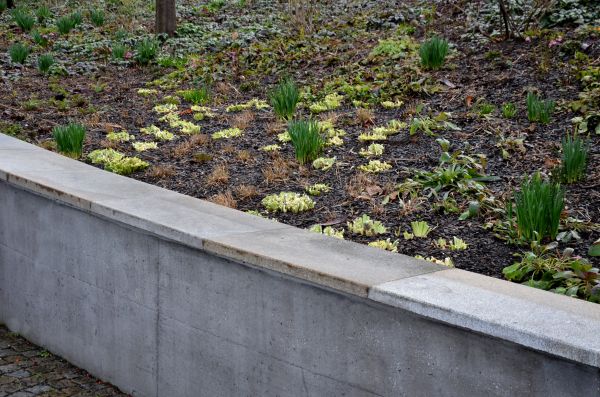 Concrete Wall Construction in Brunswick