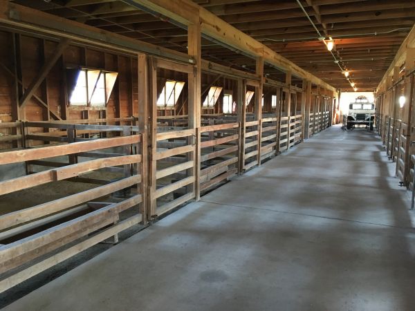 Barn Slab Construction in Brunswick