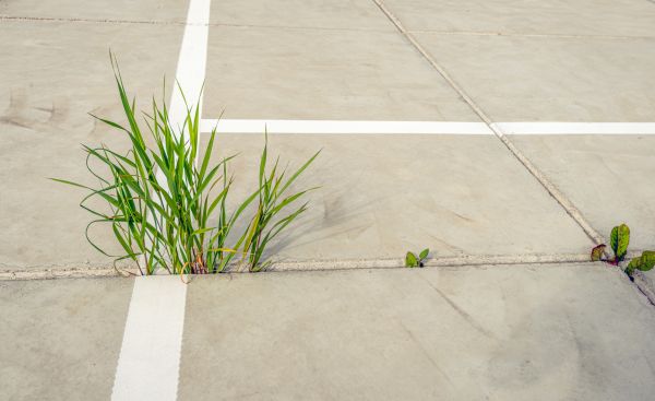 Concrete Parking Installation in Brunswick